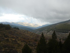 Fondo de Sierra Nevada